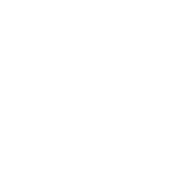 Left Lane Capital