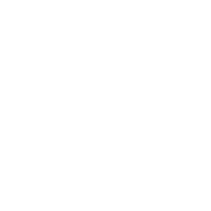 Not Boring Capital